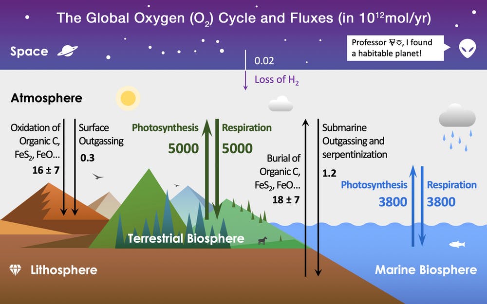 Schéma Résumant L'évolution De L'atmosphère Et De L'hydrosphère Terrestres